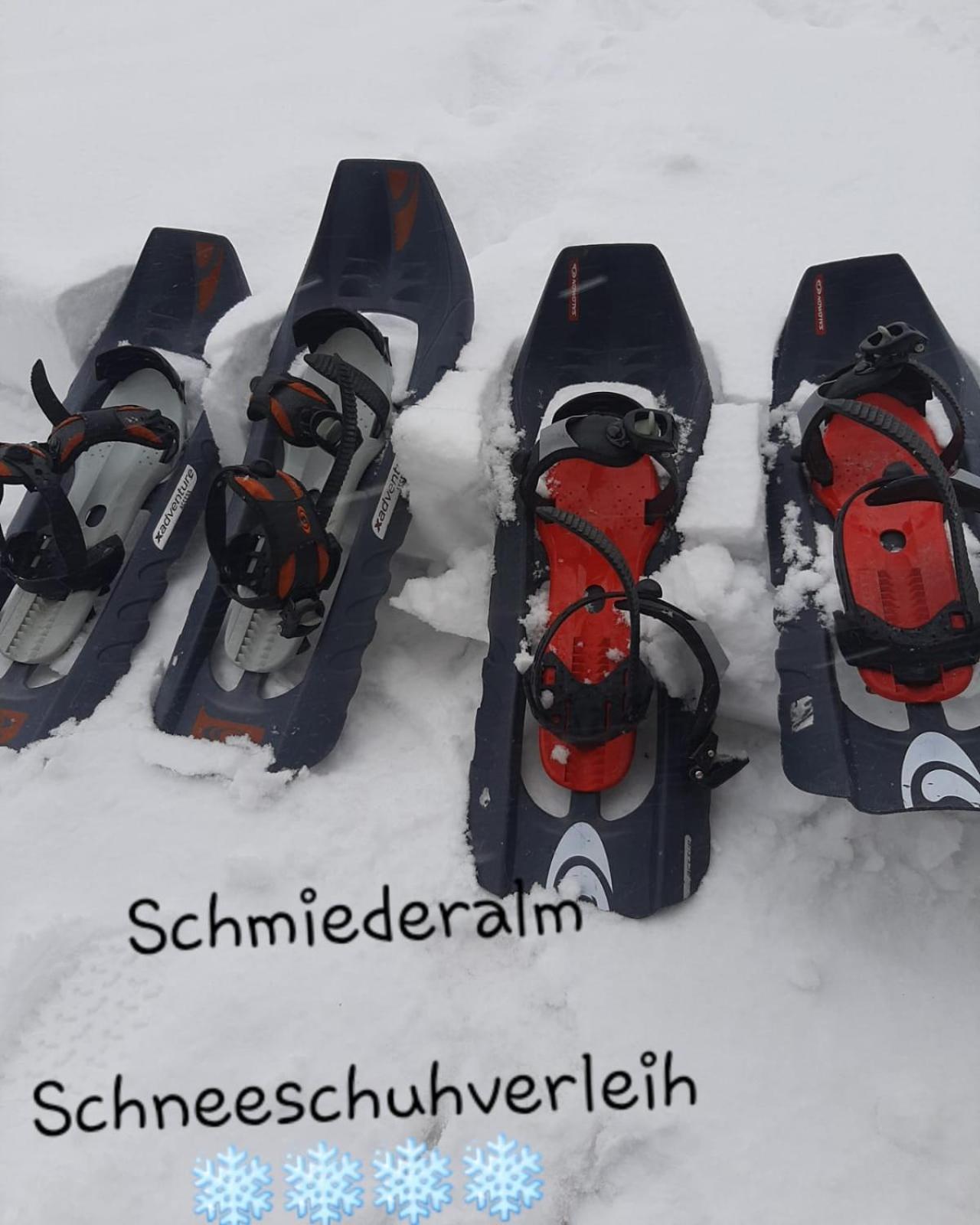 Gasthof Schmiederalm Aldino Esterno foto