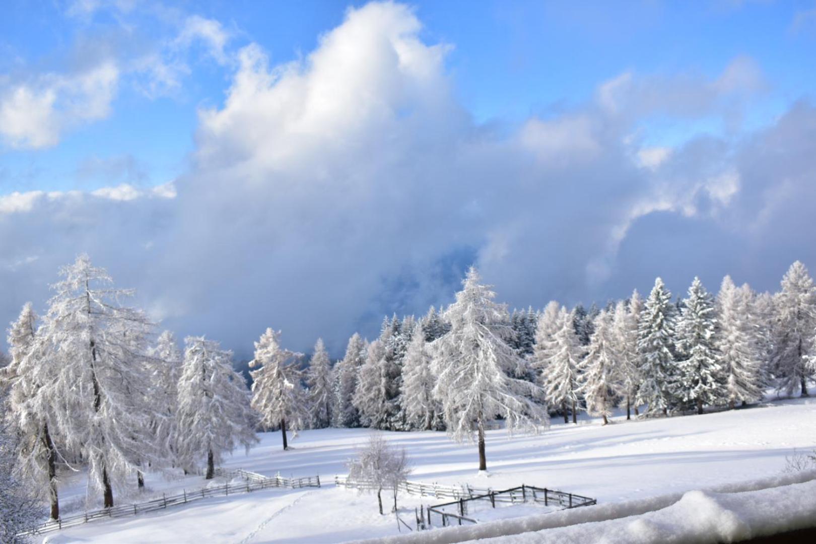 Gasthof Schmiederalm Aldino Esterno foto