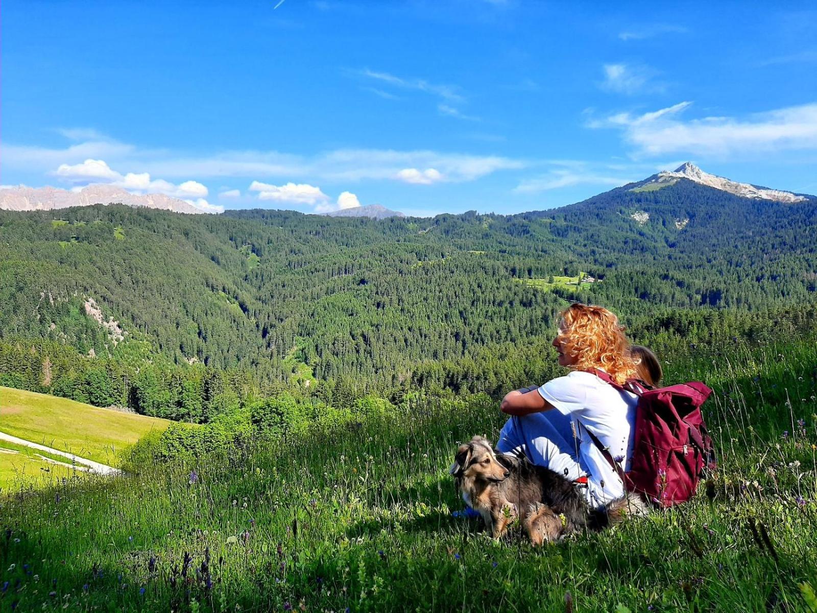Gasthof Schmiederalm Aldino Esterno foto